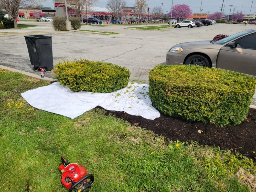 Local landscaping services in Saint Louis, MO - Eds Lawn & Landscape