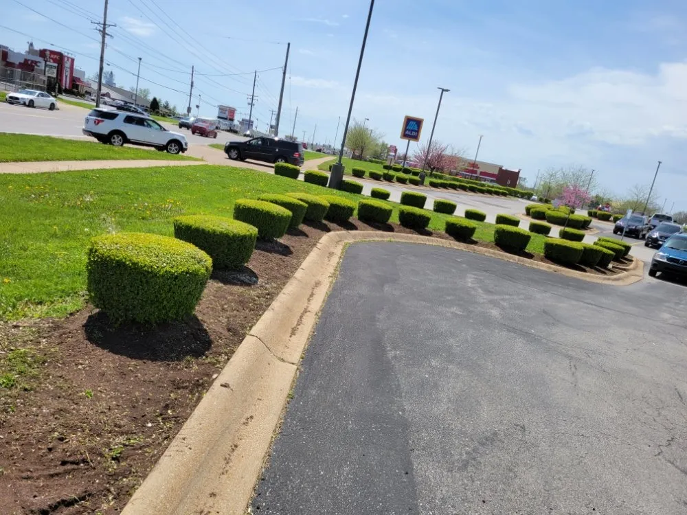 Local lawn care service for residential properties in Saint Louis, MO by Eds Lawn & Landscape