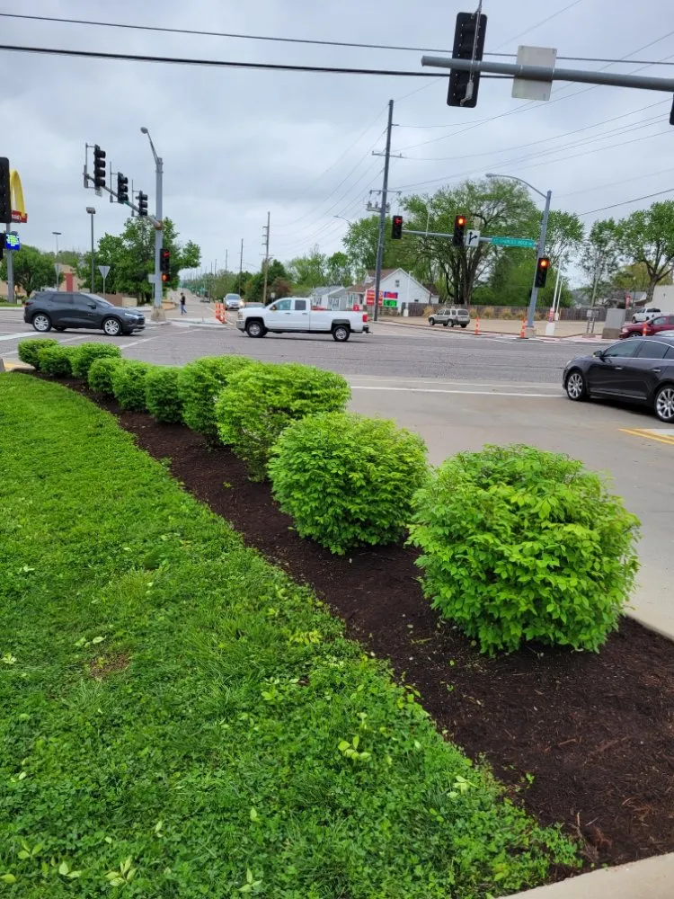 Top-rated yard maintenance in Saint Louis, MO - Eds Lawn & Landscape