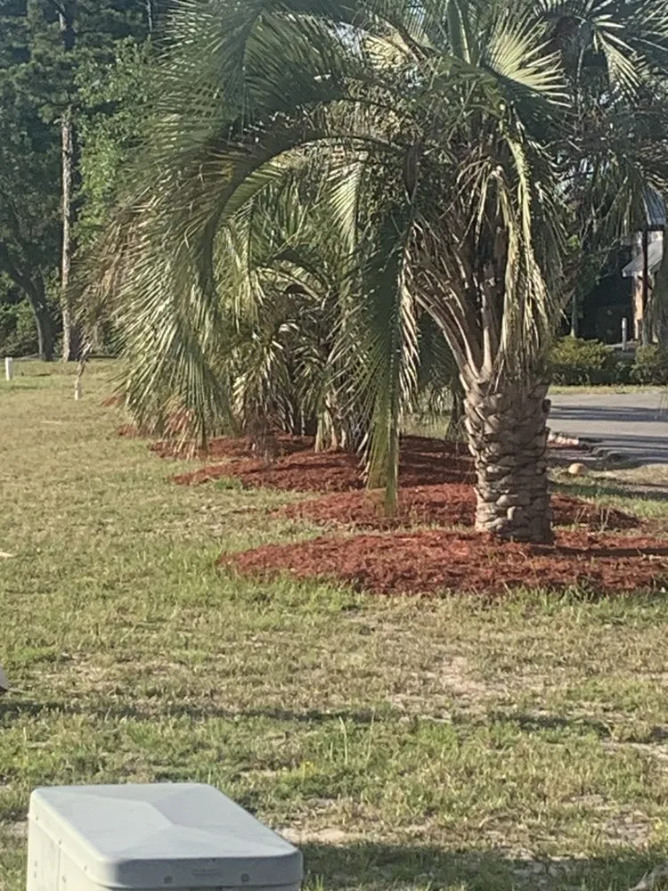 Top-rated yard maintenance for outdoor upgrades across Winnabow, NC - Ed's Lawn And Firewood Service