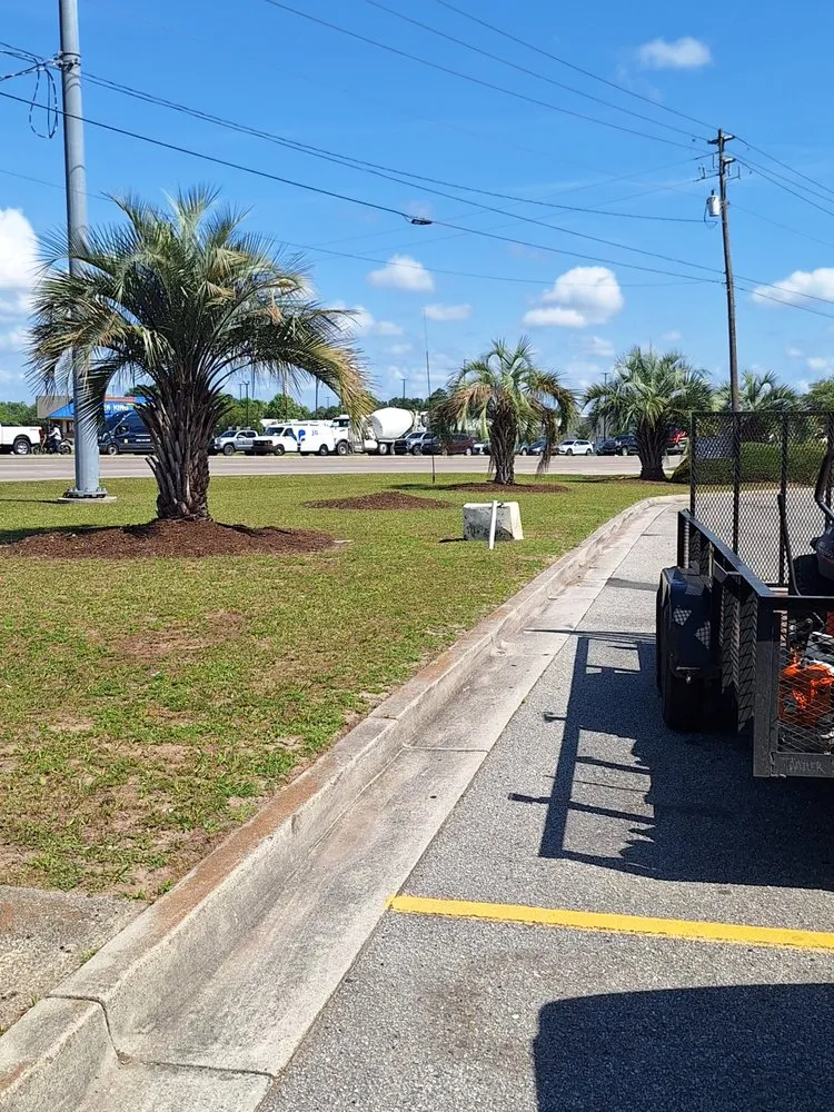 Local landscape design experts serving Winnabow, NC - Ed's Lawn And Firewood Service