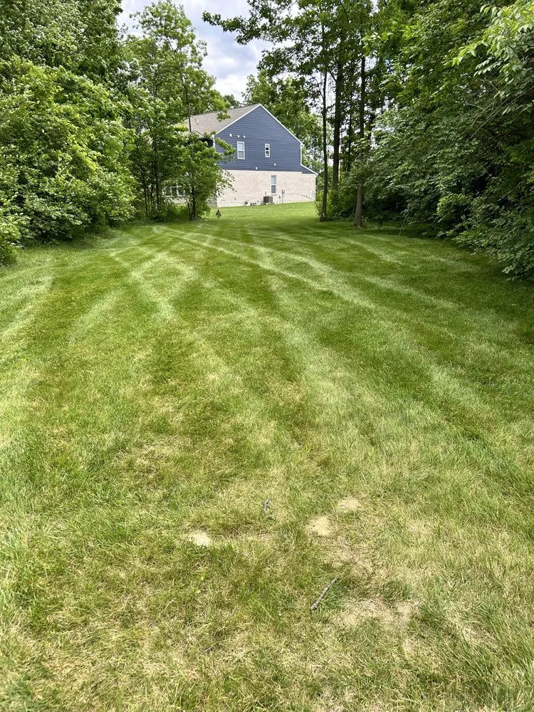 Affordable lawn care service for year-round maintenance across Xenia, OH - Ed’s Lawn And Landcare