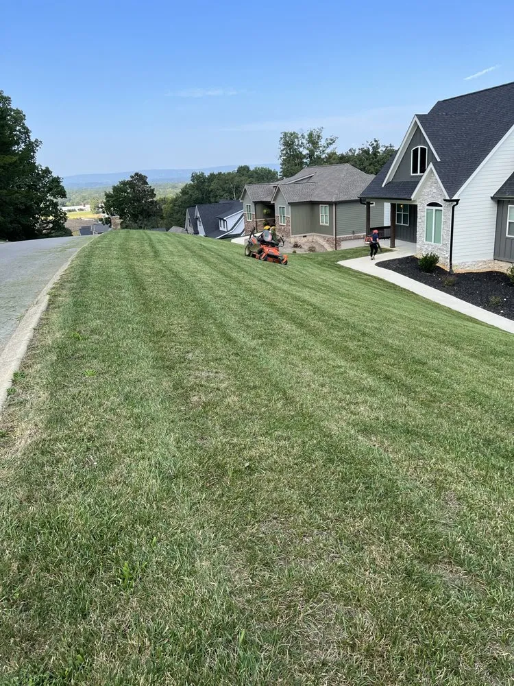 Reliable yard cleanup service for beautiful yards across Rossville, GA - Ed's Lawn Care & Pressure Washing Service