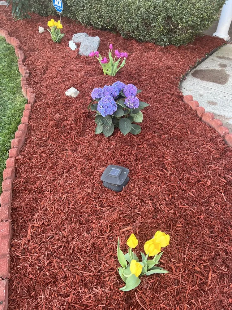 Professional landscaping services for year-round maintenance across Rossville, GA - Ed's Lawn Care & Pressure Washing Service