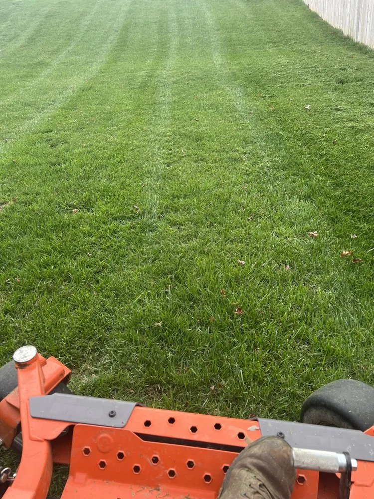 Professional lawn care service in Rossville, GA - Ed's Lawn Care & Pressure Washing Service