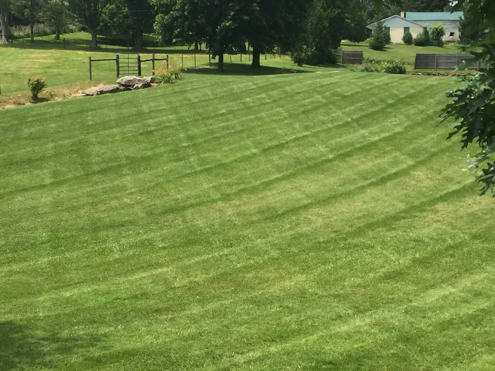 Professional lawn care service in Ligonier, PA - Ed's Lawn Care And Snow Removal