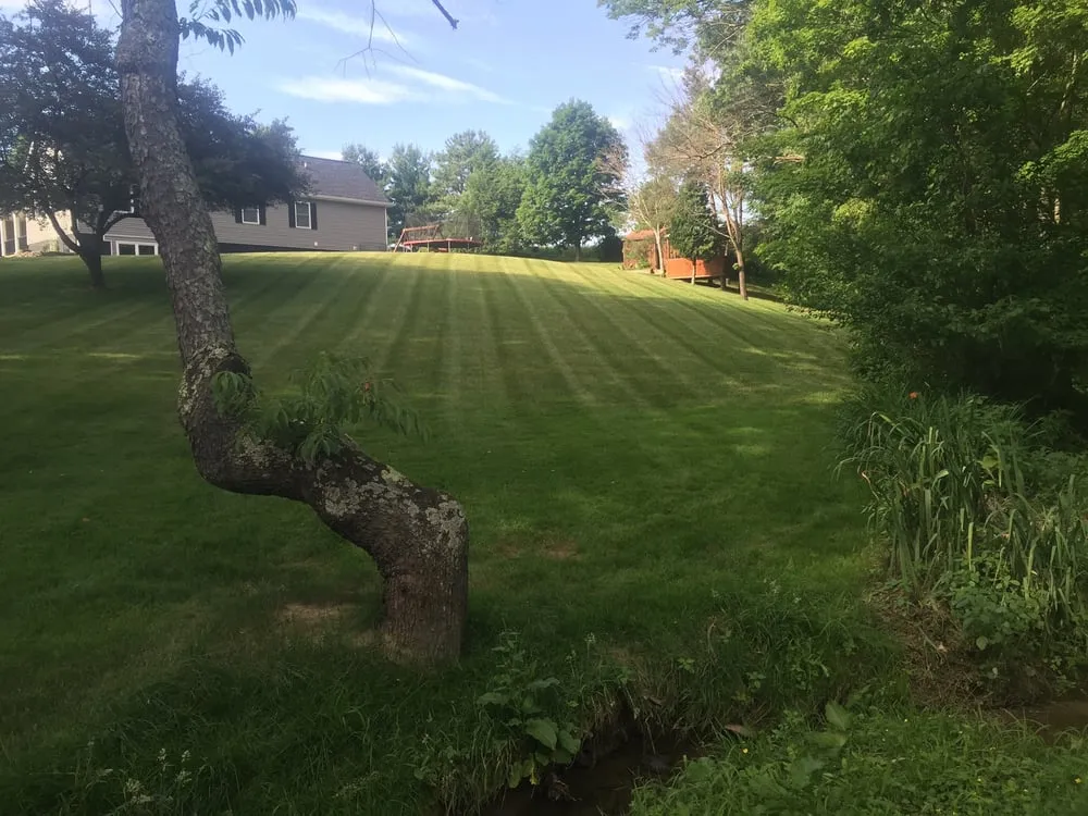 Top-rated lawn care service for residential properties in Ligonier, PA by Ed's Lawn Care And Snow Removal