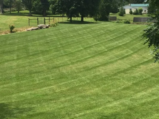 Ed's Lawn Care And Snow Removal