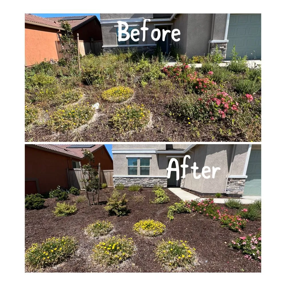 Affordable landscaping services with custom design in Arden-Arcade, CA by Ed's Lawn Care Services