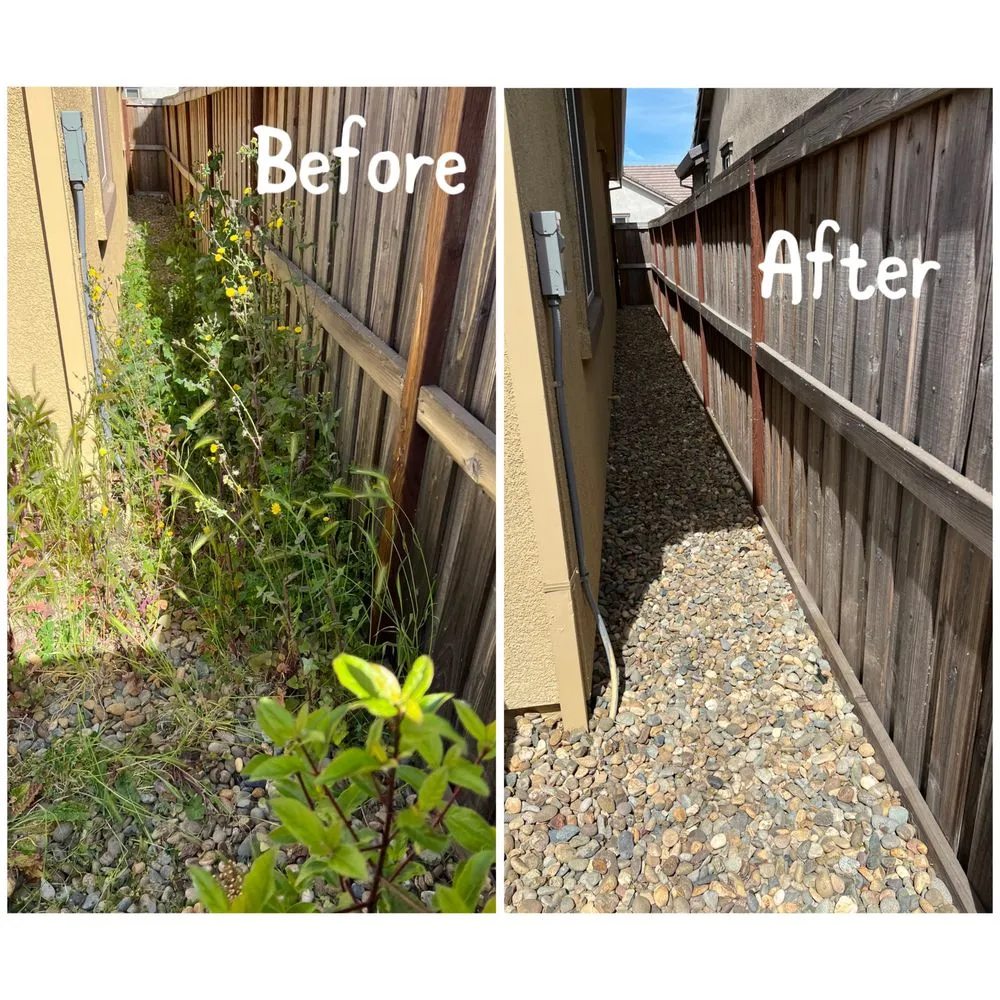 Trusted landscaping services in Arden-Arcade, CA - Ed's Lawn Care Services