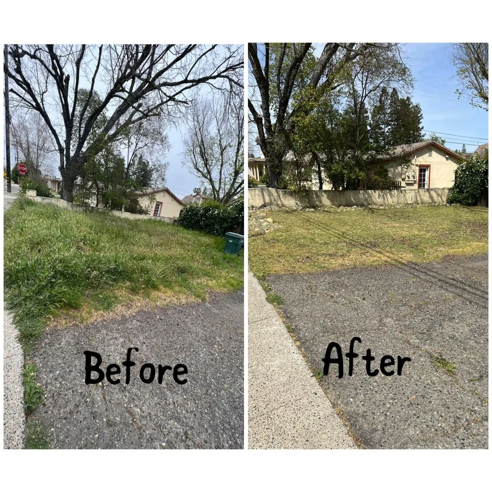 Affordable residential landscaping experts serving Arden-Arcade, CA - Ed's Lawn Care Services