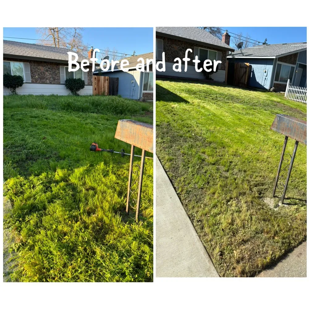 Custom yard maintenance for year-round maintenance across Arden-Arcade, CA - Ed's Lawn Care Services