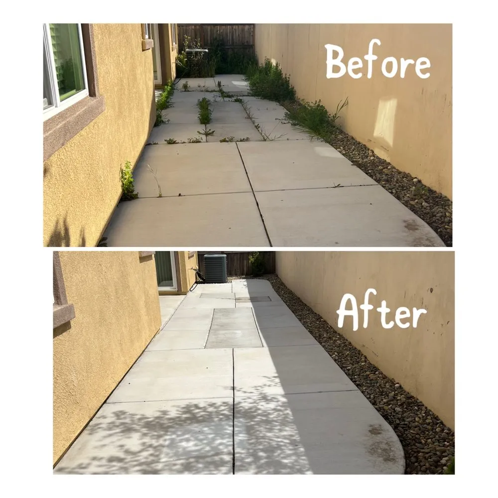 Local yard cleanup service in Arden-Arcade, CA by Ed's Lawn Care Services