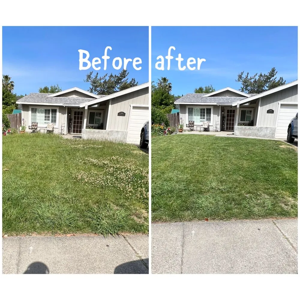 Expert garden landscaping for year-round maintenance across Arden-Arcade, CA - Ed's Lawn Care Services