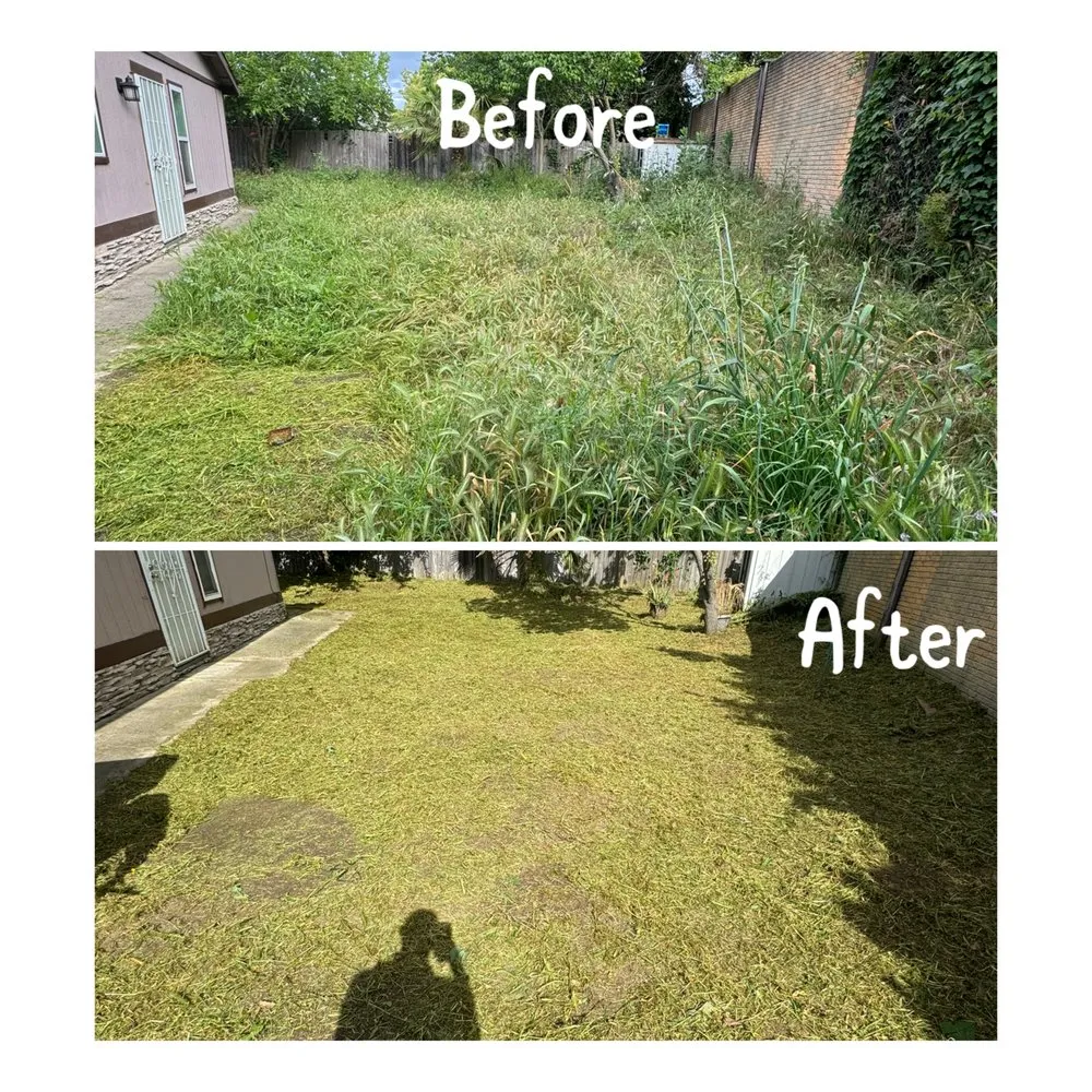 Trusted garden landscaping in Arden-Arcade, CA - Ed's Lawn Care Services