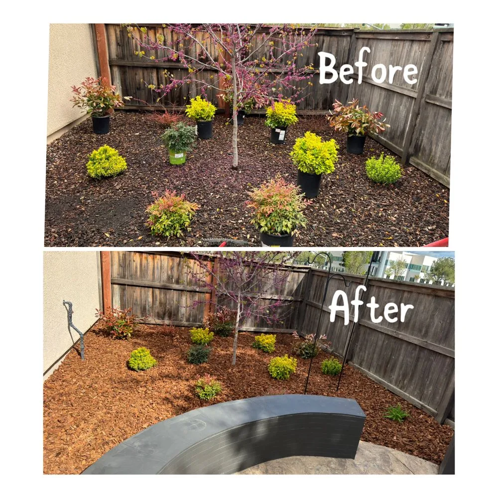 Affordable yard cleanup service for homes across Arden-Arcade, CA - Ed's Lawn Care Services