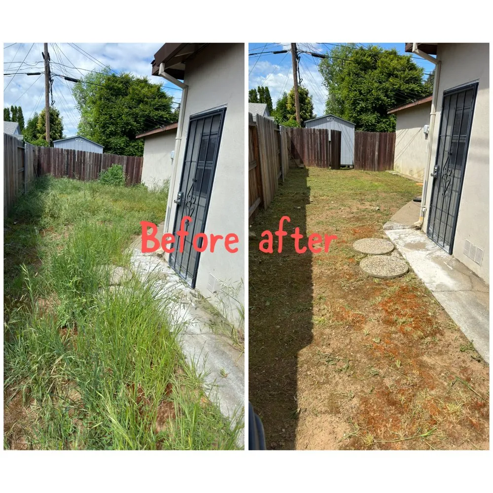 Trusted lawn care service in Arden-Arcade, CA - Ed's Lawn Care Services