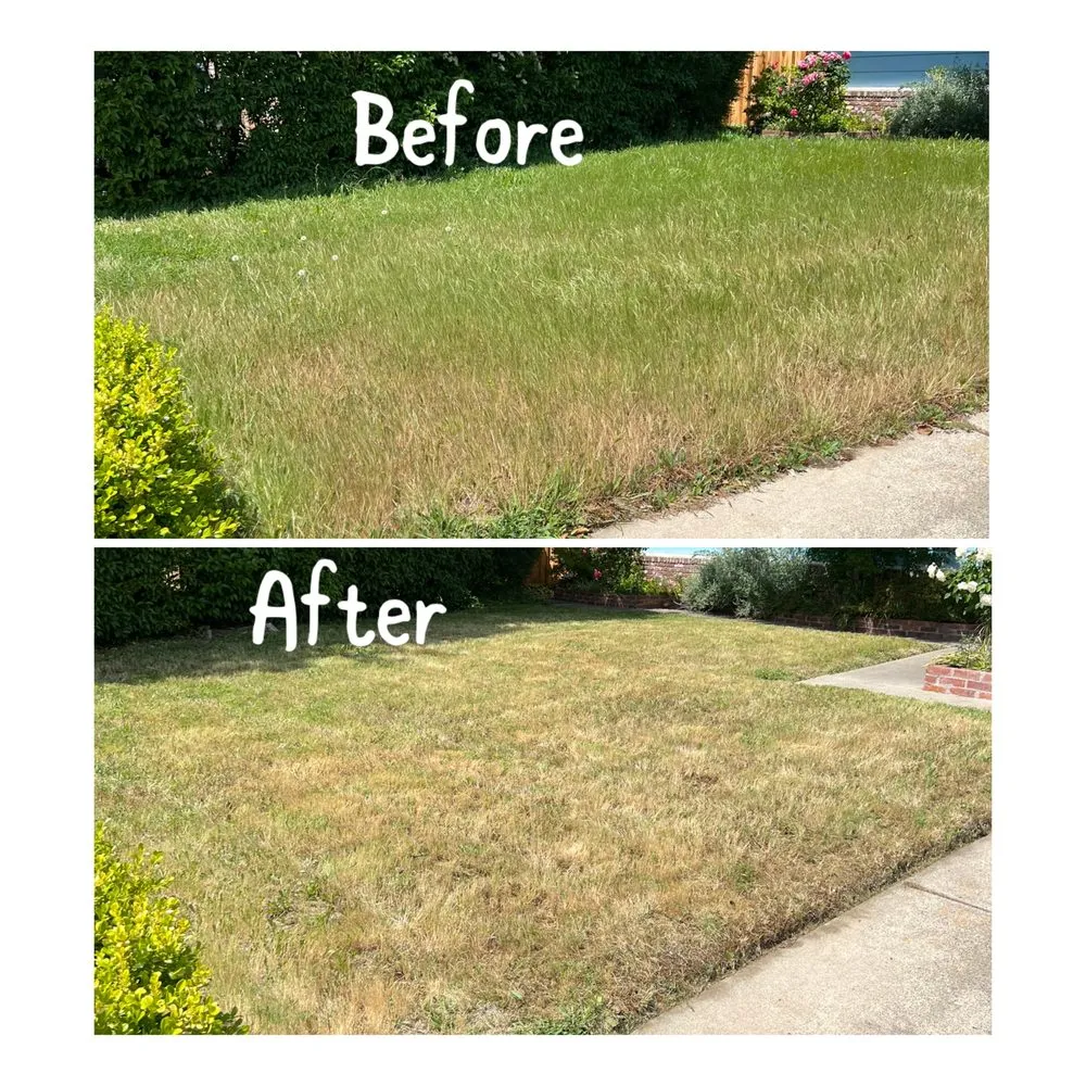 Custom landscape installation in Arden-Arcade, CA by Ed's Lawn Care Services