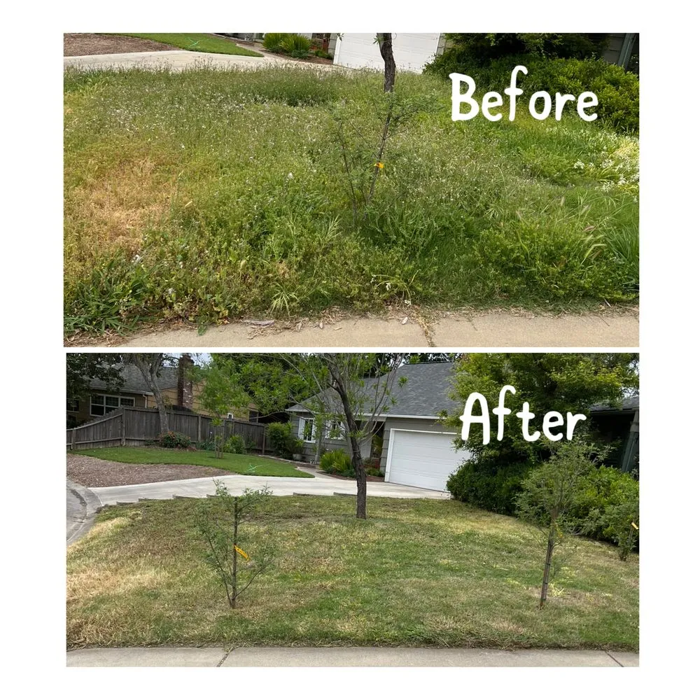 Affordable landscaping services for year-round maintenance in Arden-Arcade, CA by Ed's Lawn Care Services