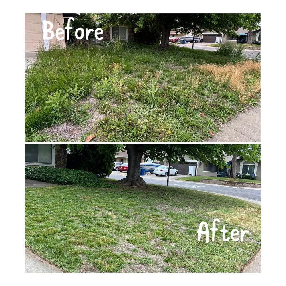 Reliable residential landscaping experts serving Arden-Arcade, CA - Ed's Lawn Care Services