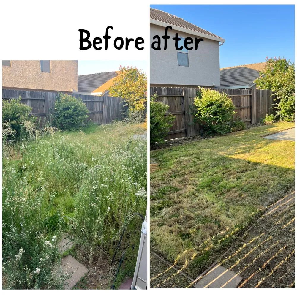 Reliable lawn care service for year-round maintenance across Arden-Arcade, CA - Ed's Lawn Care Services