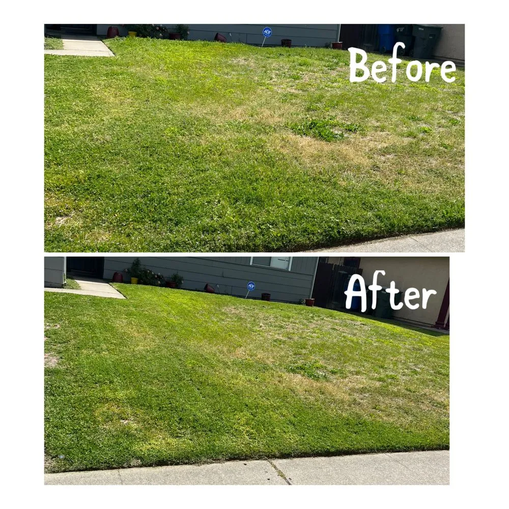 Local landscape installation in Arden-Arcade, CA by Ed's Lawn Care Services