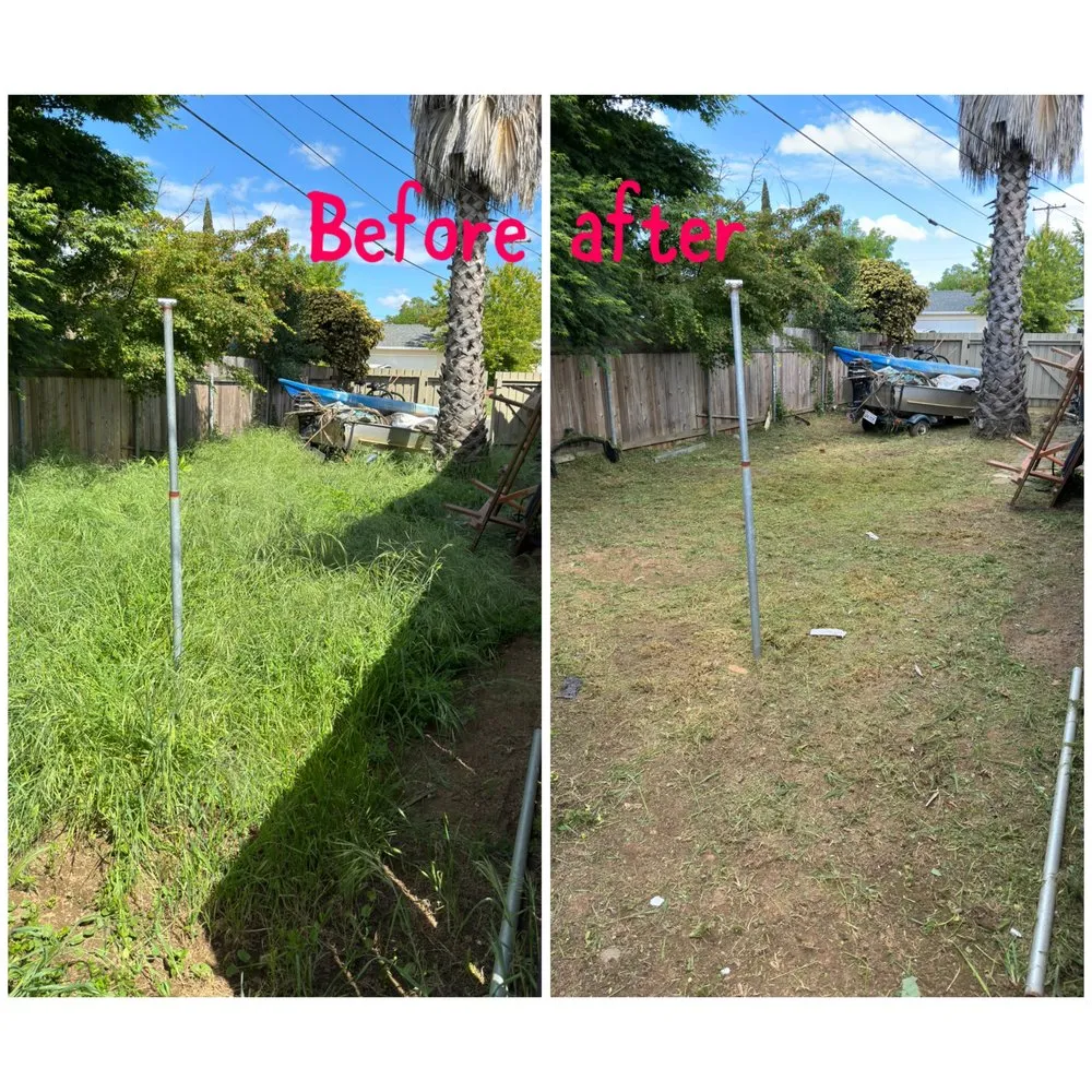 Custom yard maintenance for residential properties in Arden-Arcade, CA by Ed's Lawn Care Services