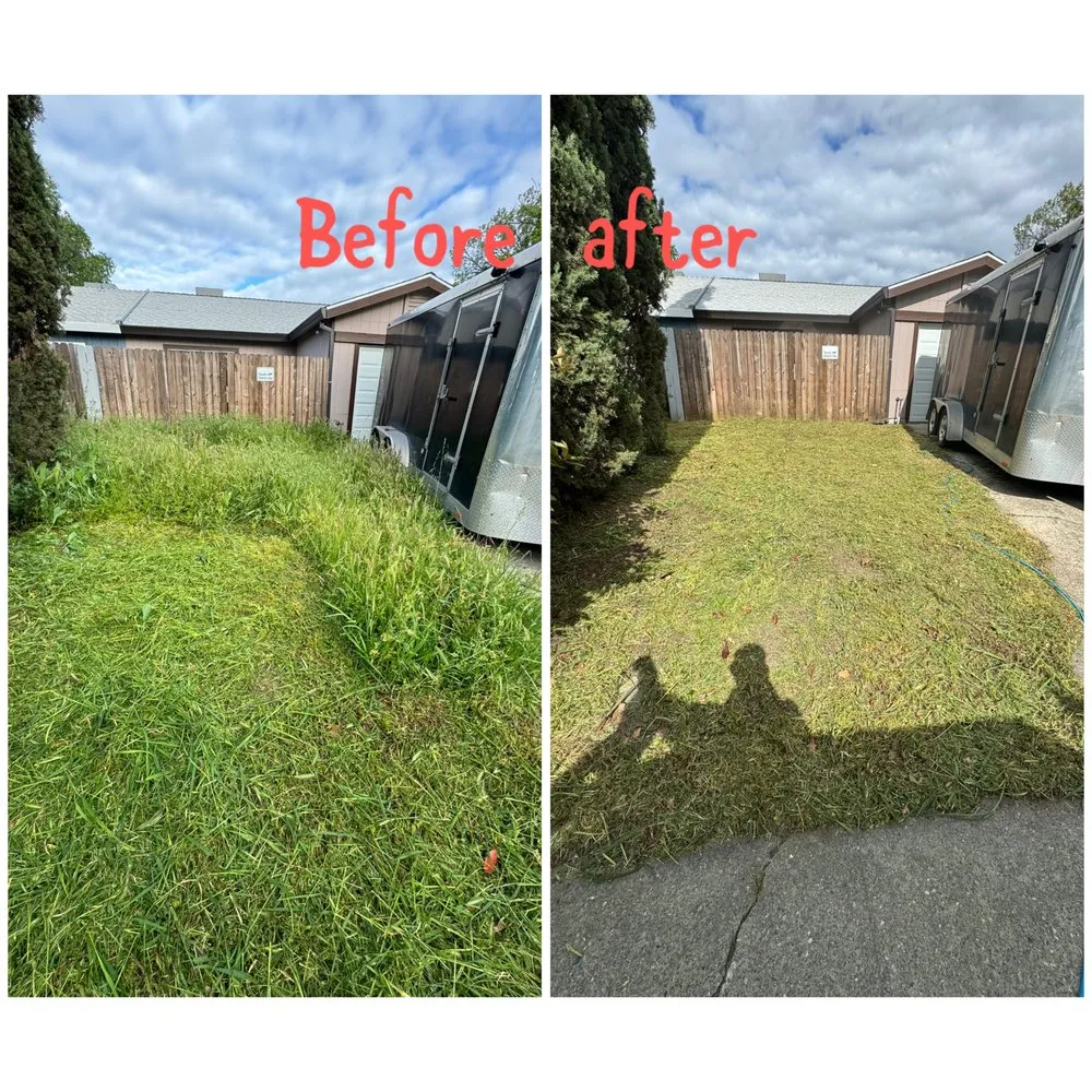 Custom lawn care service for beautiful yards in Arden-Arcade, CA by Ed's Lawn Care Services