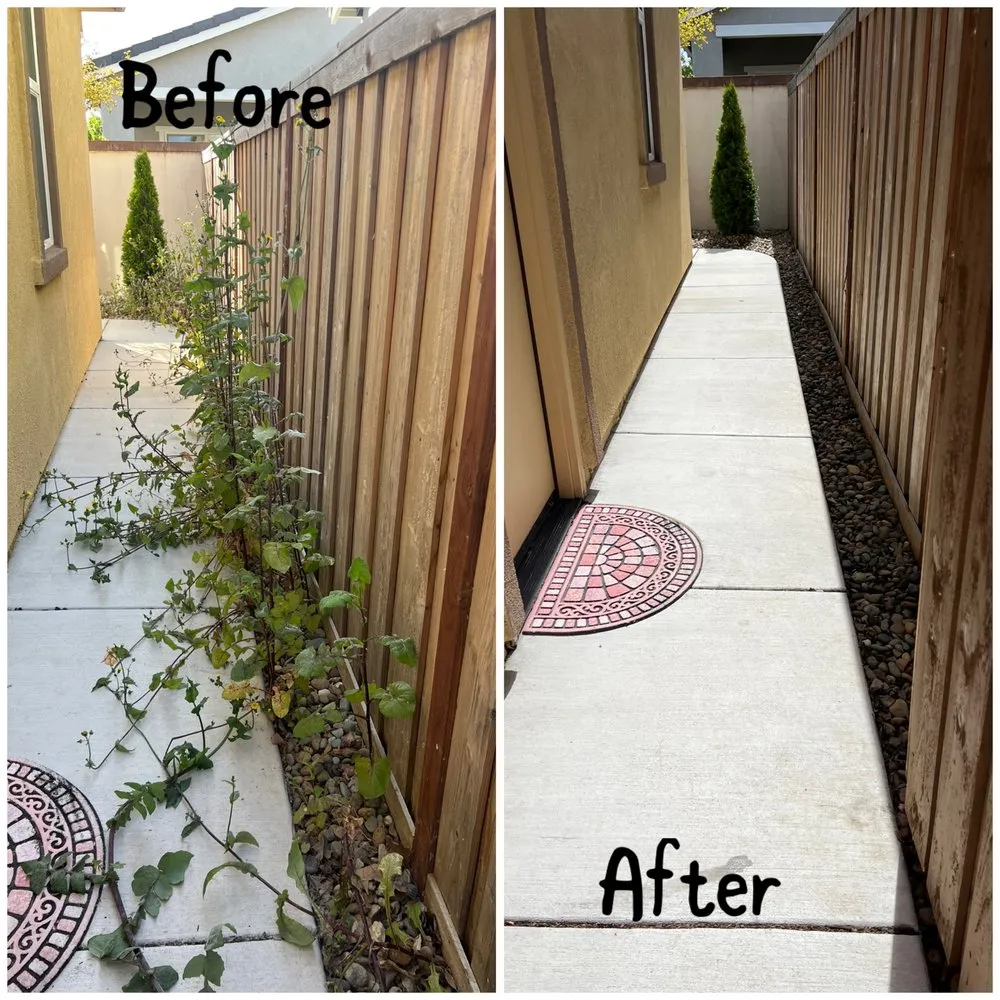 Trusted outdoor landscaping in Arden-Arcade, CA - Ed's Lawn Care Services