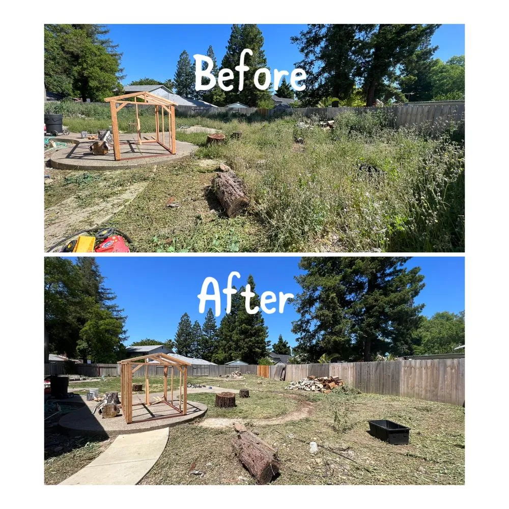 Trusted outdoor landscaping in Arden-Arcade, CA - Ed's Lawn Care Services