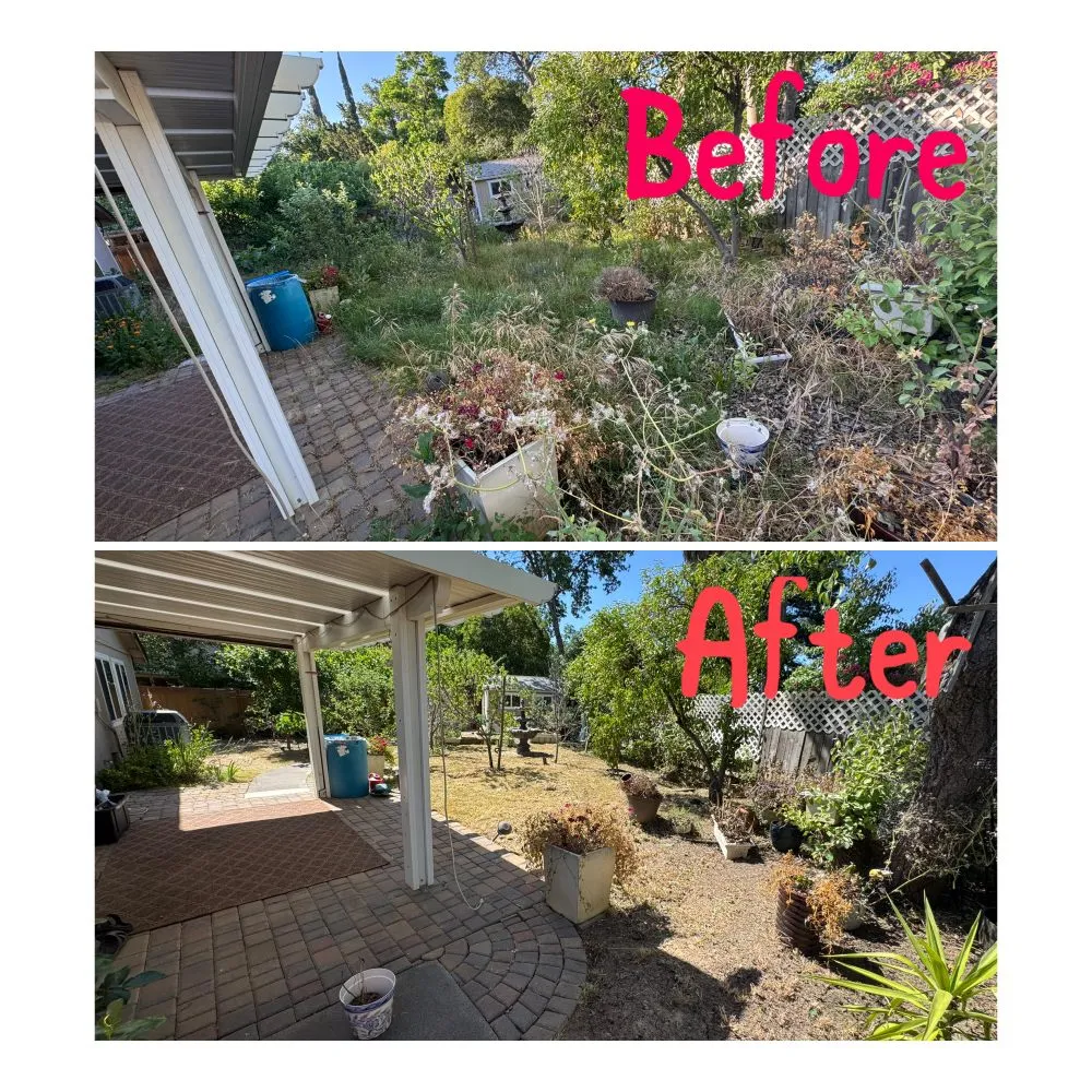 Professional yard cleanup service for residential properties in Arden-Arcade, CA by Ed's Lawn Care Services