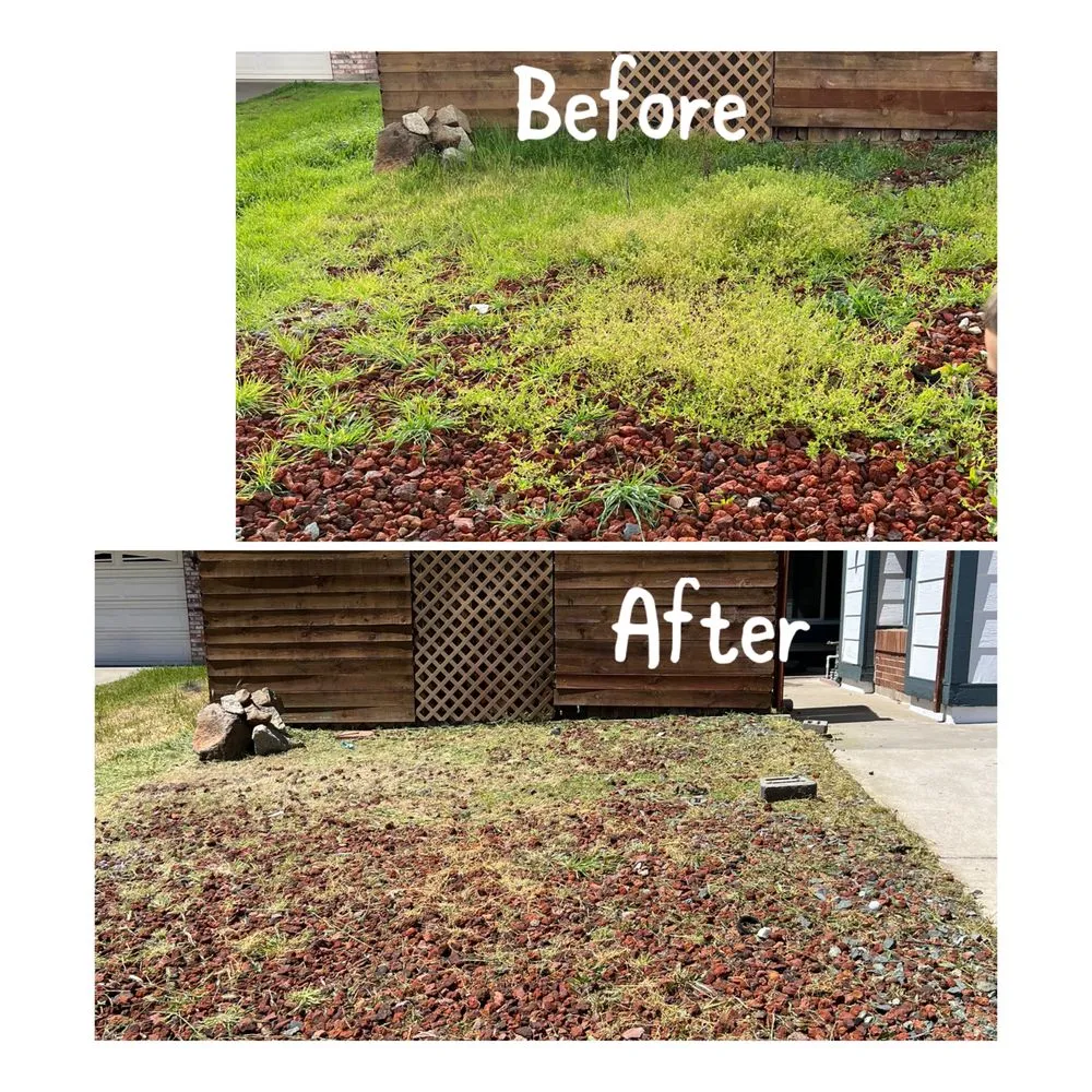 Professional garden landscaping for beautiful yards in Arden-Arcade, CA by Ed's Lawn Care Services