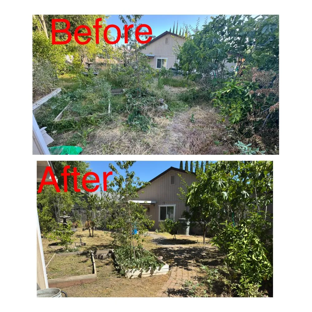 Affordable landscape design for residential properties across Arden-Arcade, CA - Ed's Lawn Care Services