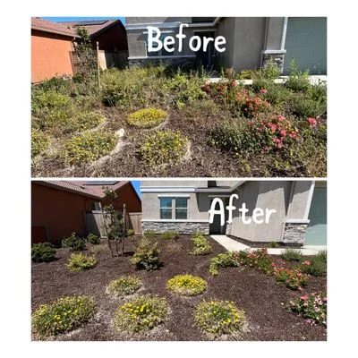 Ed's Lawn Care Services Logo