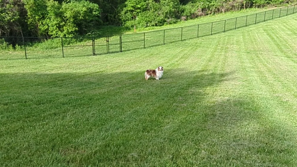 Custom residential landscaping for outdoor upgrades across Kansas City, KS - EDS Lawn