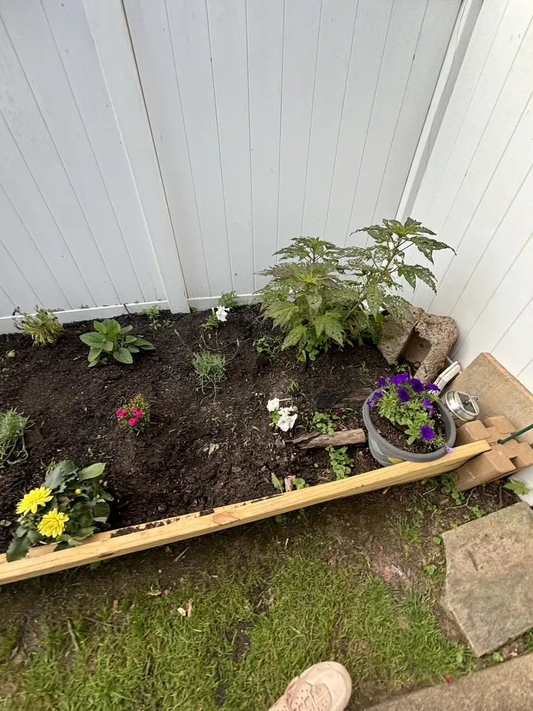 Reliable yard cleanup service in Stafford, VA - E&D’s Lawn Service