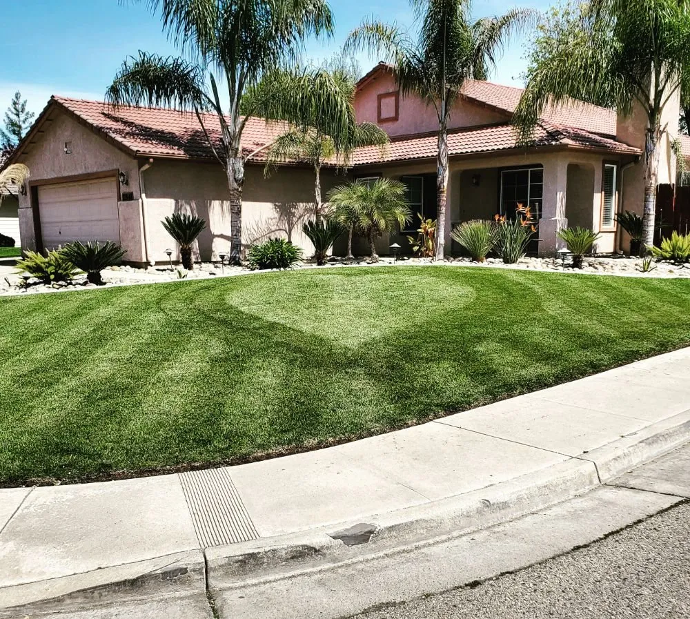 Expert landscaping services near you across Visalia, CA - ED'S Major League Mowing