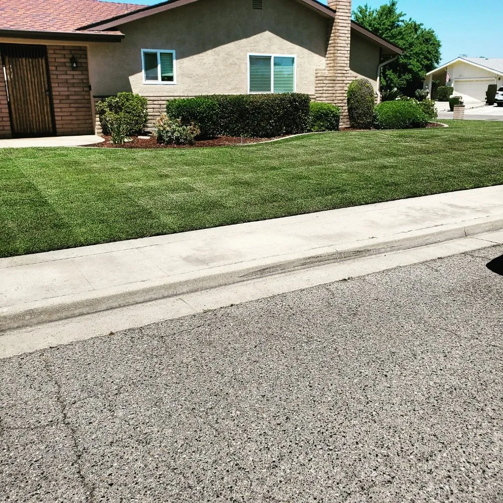Expert landscape installation for residential properties in Visalia, CA by ED'S Major League Mowing