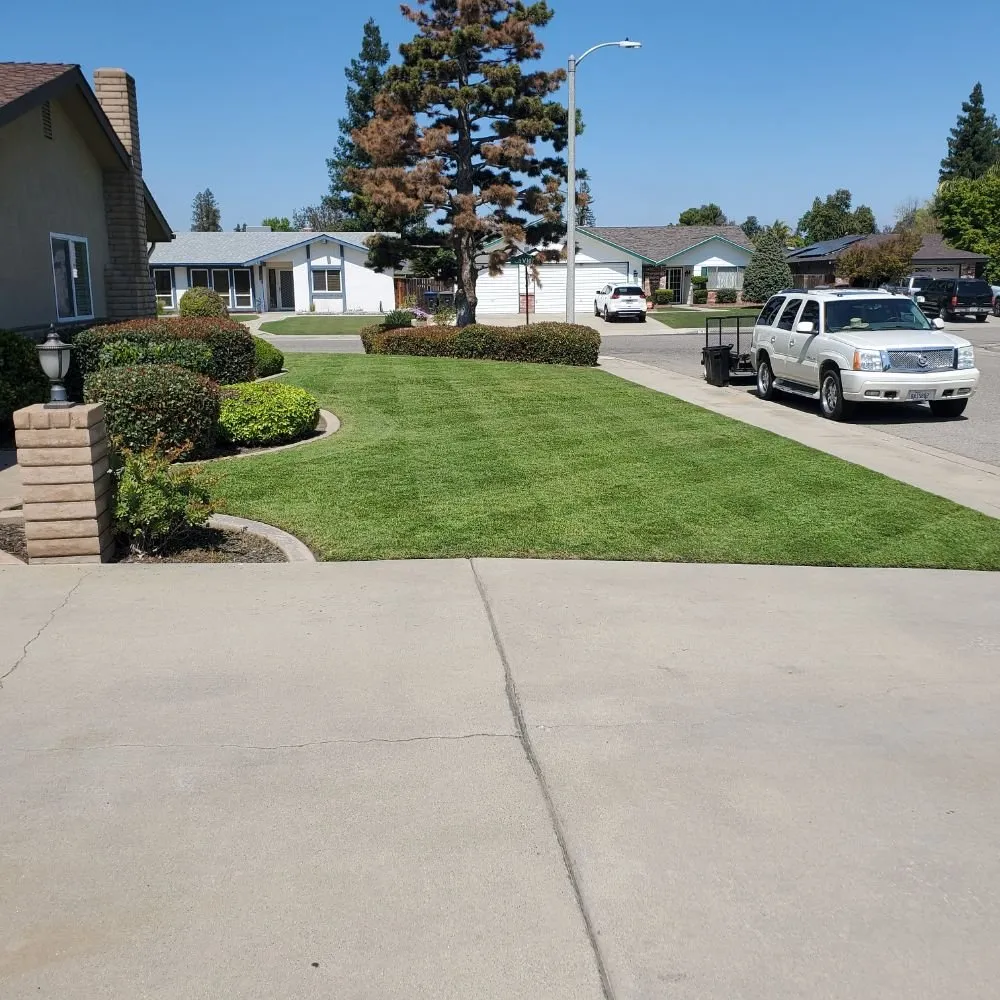 Local landscape design for homes in Visalia, CA by ED'S Major League Mowing