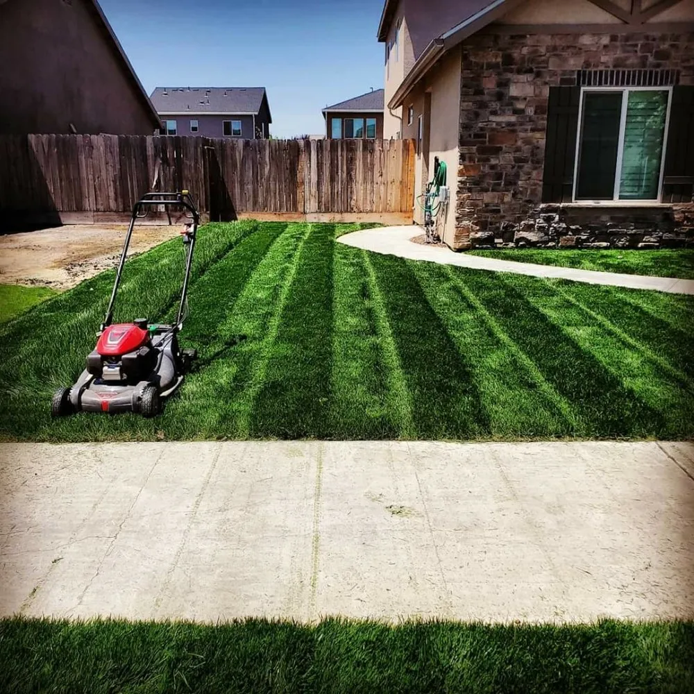 Trusted garden landscaping in Visalia, CA by ED'S Major League Mowing