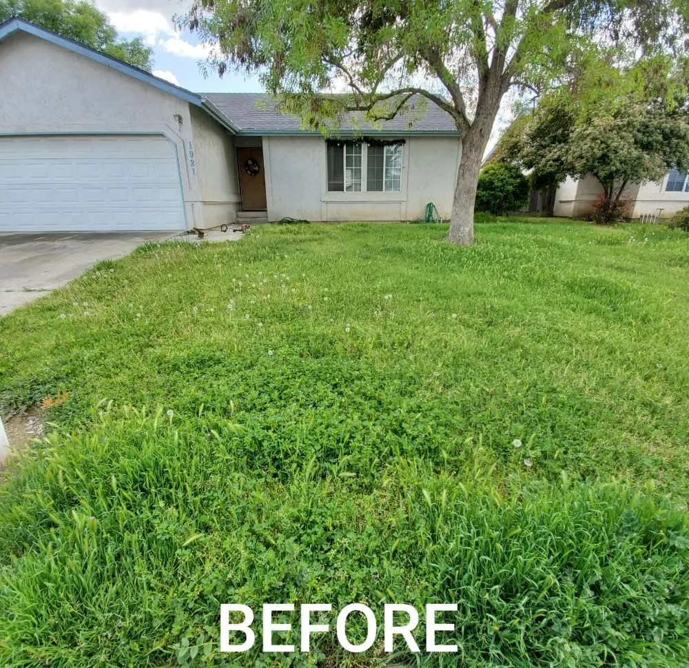 Local lawn mowing service in Visalia, CA by ED'S Major League Mowing