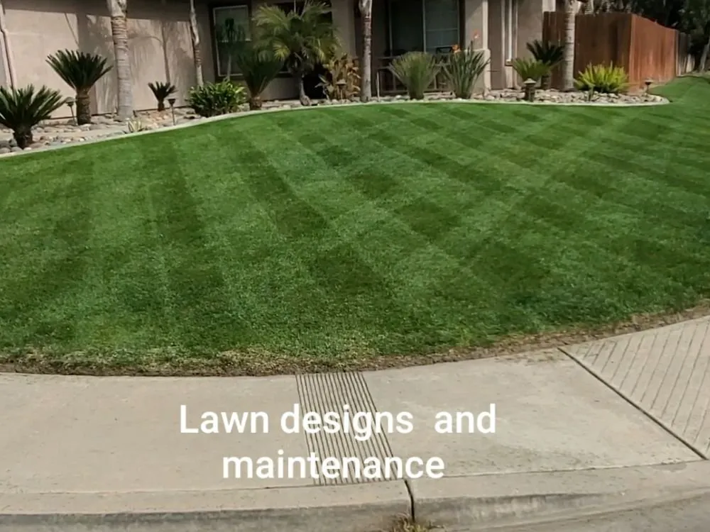 Local landscaping services in Visalia, CA by ED'S Major League Mowing