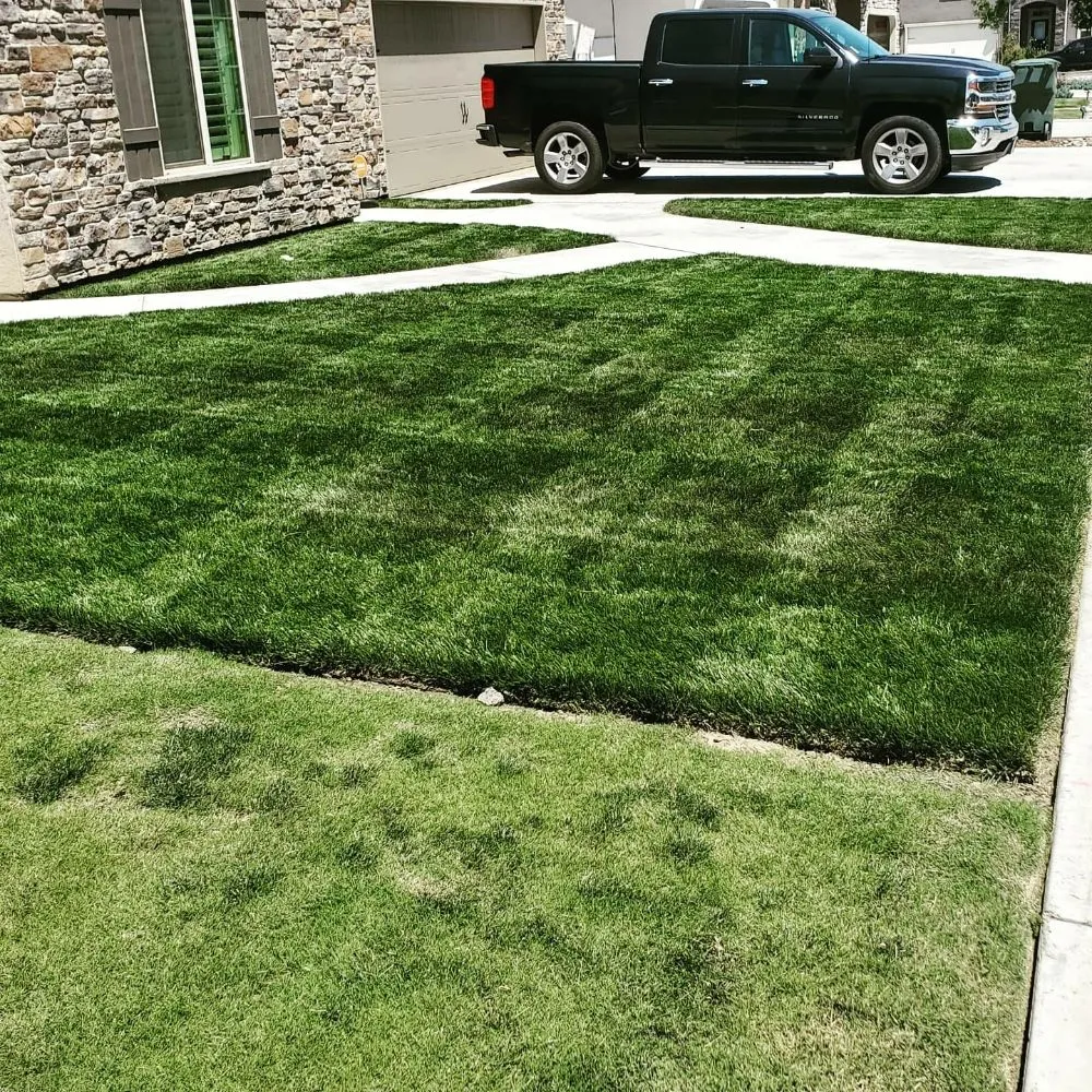 Expert lawn care service experts serving Visalia, CA - ED'S Major League Mowing