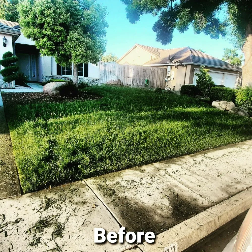 Expert residential landscaping for outdoor upgrades across Visalia, CA - ED'S Major League Mowing
