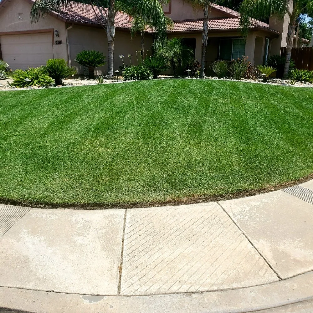 Professional lawn mowing service for homes across Visalia, CA - ED'S Major League Mowing