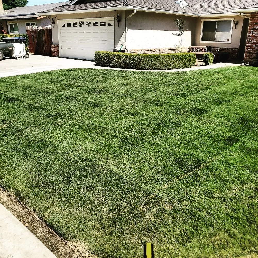 Top-rated landscape installation in Visalia, CA by ED'S Major League Mowing