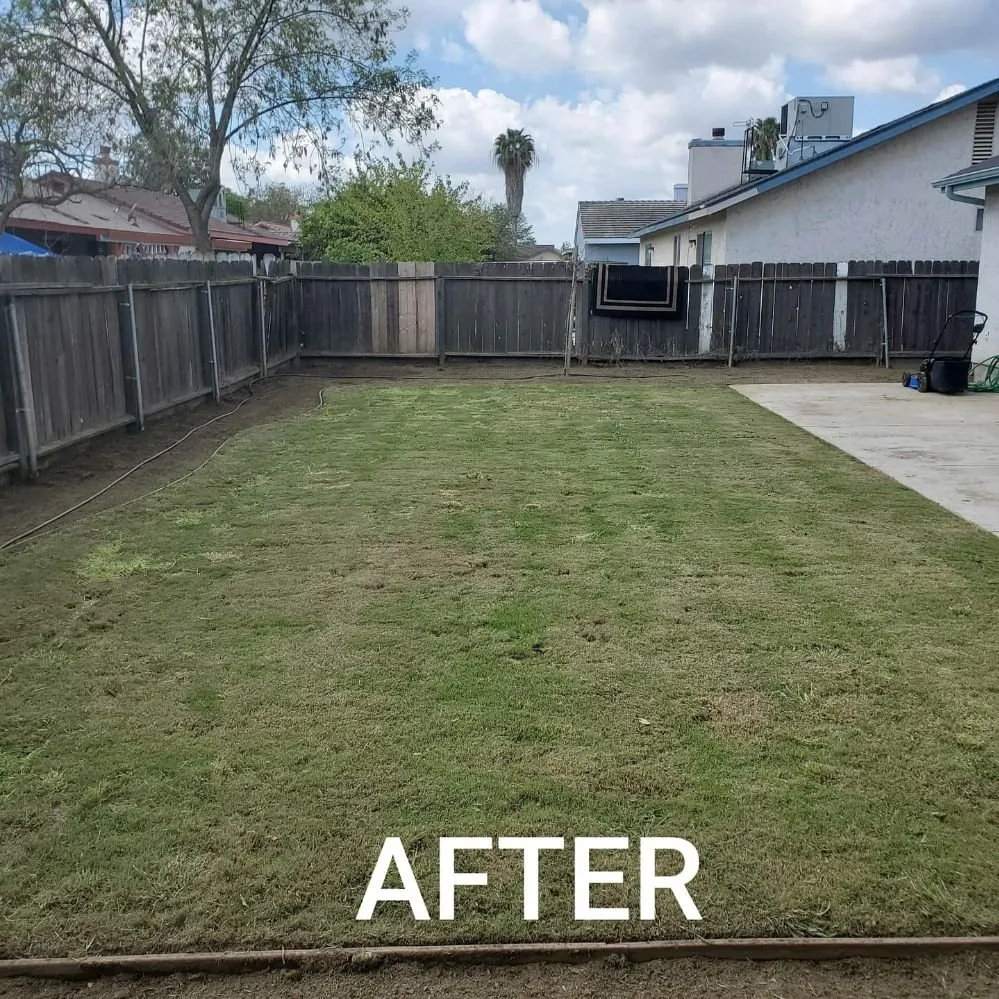 Affordable landscape installation experts serving Visalia, CA - ED'S Major League Mowing