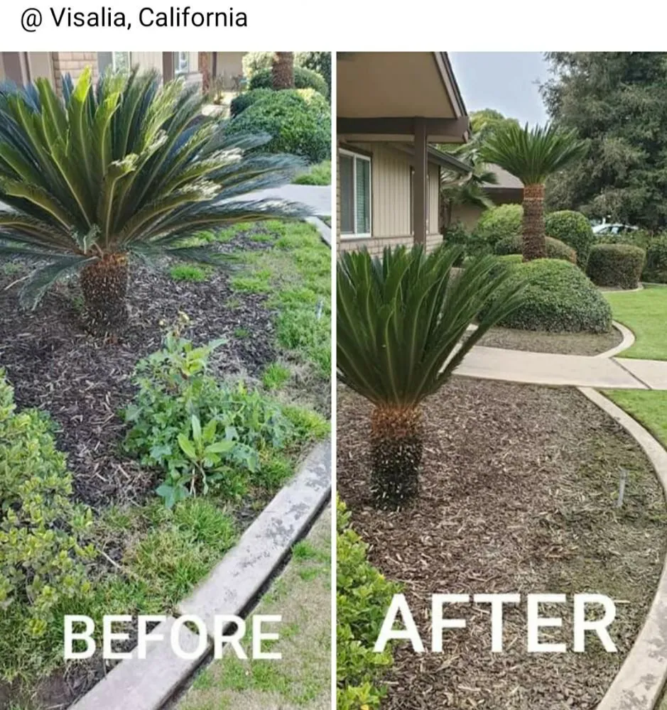 Trusted lawn care service experts serving Visalia, CA - ED'S Major League Mowing