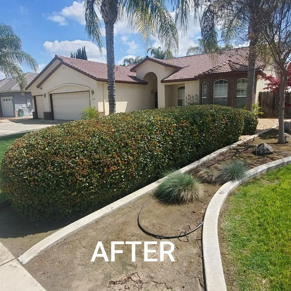 Trusted yard cleanup service for homes across Visalia, CA - ED'S Major League Mowing