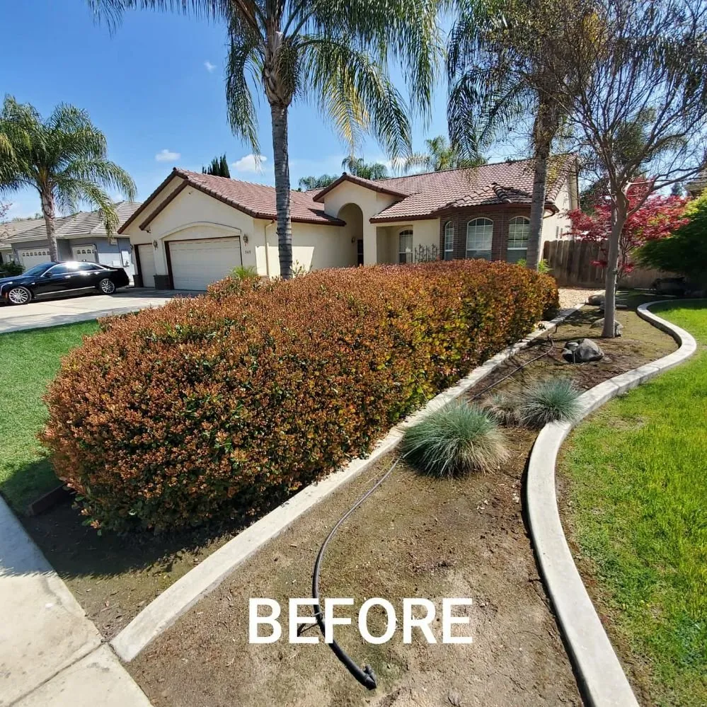 Expert landscaping services for beautiful yards in Visalia, CA by ED'S Major League Mowing